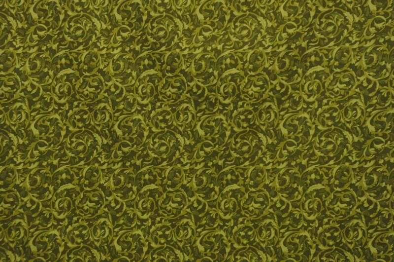 Timeless Treasures Fabric - Vera - Olive - #5653