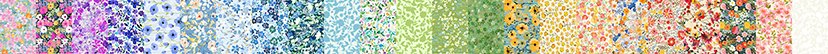 Lovelies Strip Roll 23 - 2 1/2" strips In The Beginning by Jason Yenter