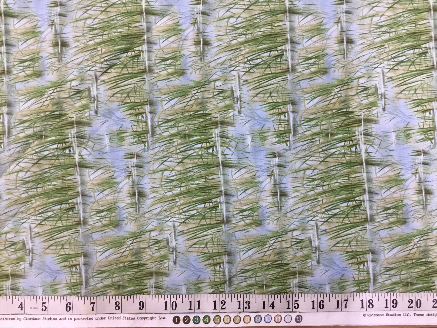 Giordano Studios - Reeds in the Water