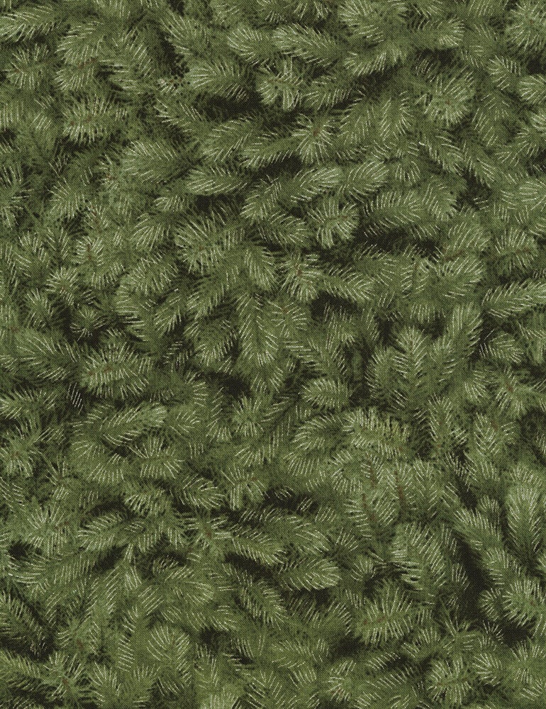 Timeless Treasures Fabrics - Holiday- #CM5168
