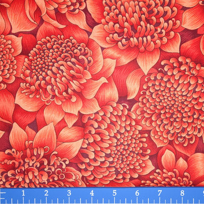Nutex - Waratah Blooms - #11200-3