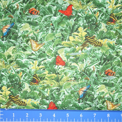 SSI - Big Cats - 73222-753