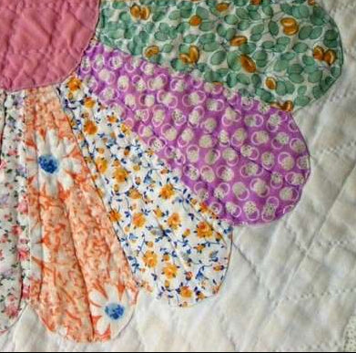 EPP Curved Dresdens 3" x 16 pieces