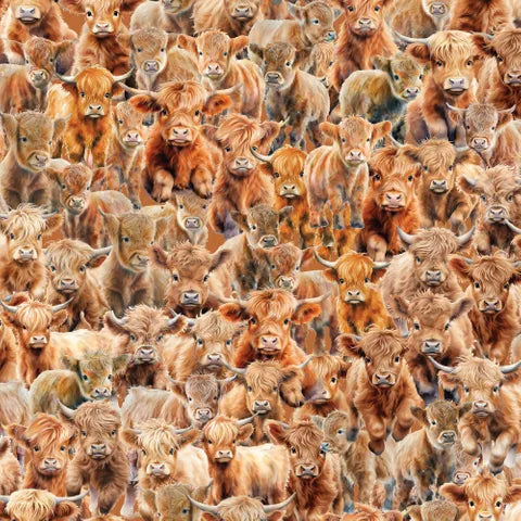 Devonstone Collections Coops Farm Packed Highland Cows