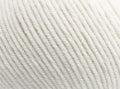 2100 Ivory