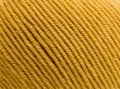 2106 Mustard