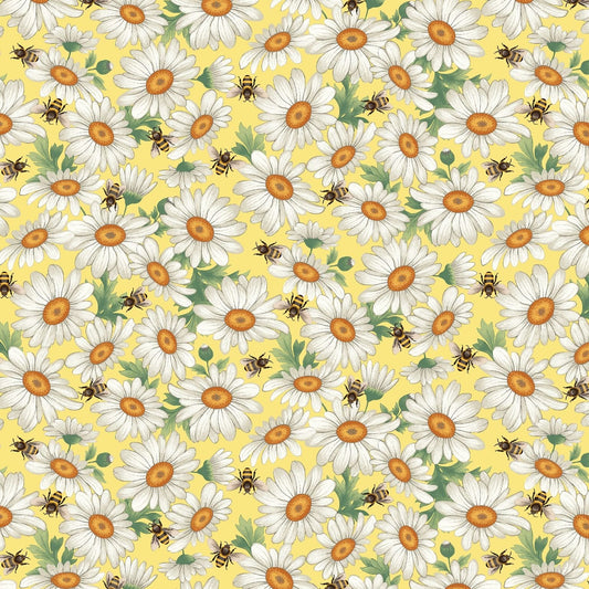 Studio E - Bee All You Can Bee - Daisies