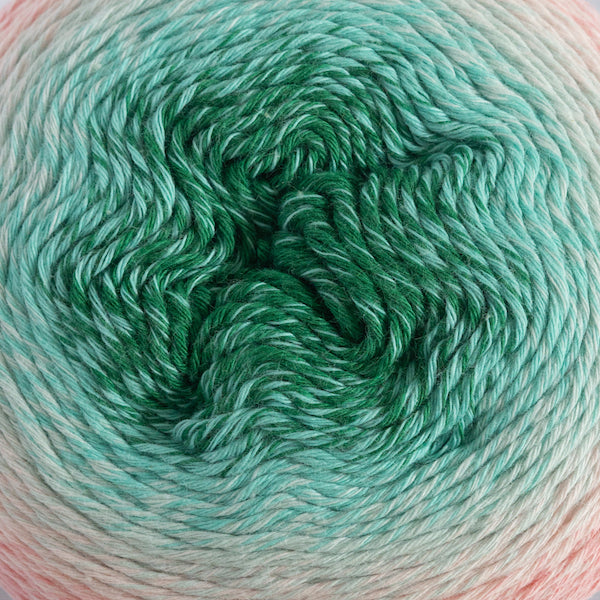 Eddy 4 Ply