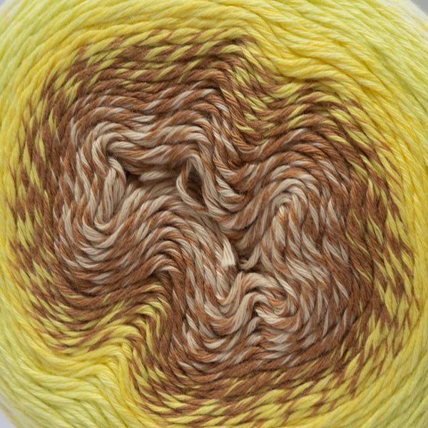 Eddy 4 Ply