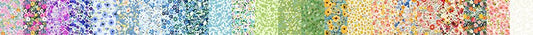 Lovelies Strip Roll 23 - 2 1/2" strips In The Beginning by Jason Yenter