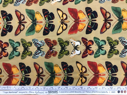 Benartex - Tropical Rainforest - Rainforest Butterfly - 6563
