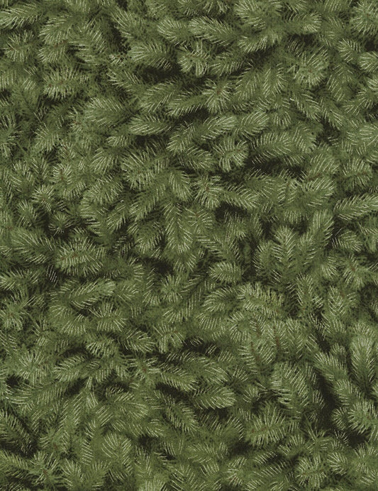 Timeless Treasures Fabrics - Holiday- #CM5168