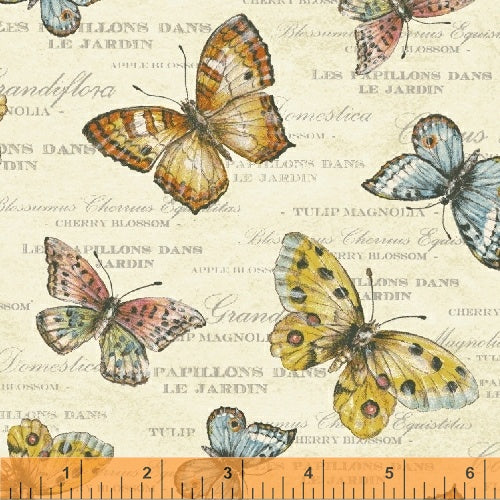 Windham Fabrics - Papillon - #37324-3