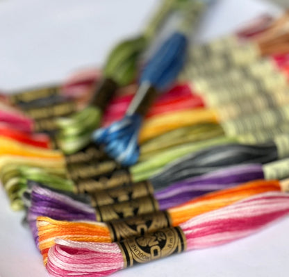 Mouliné Spécial 25 - Variegated Range