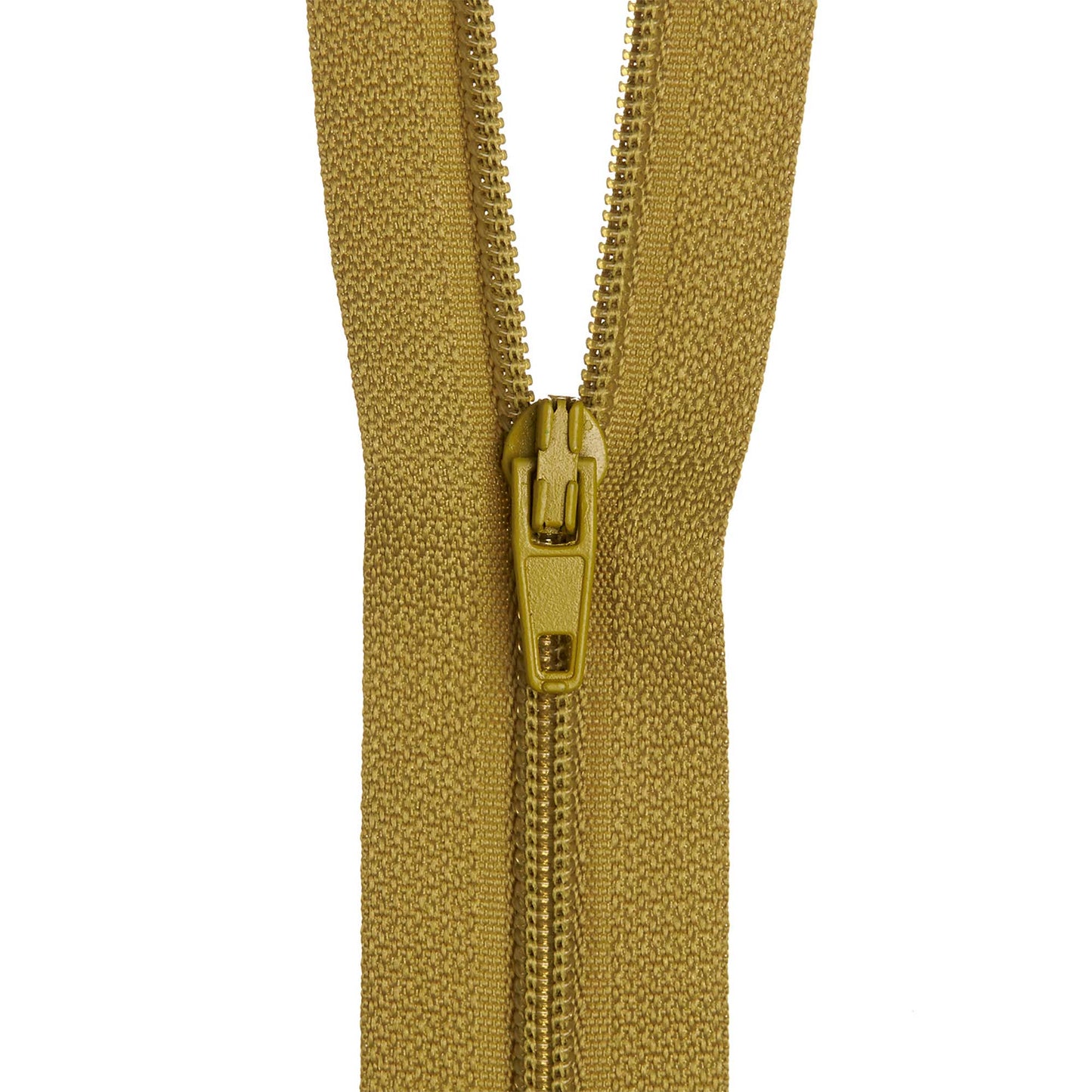 013812-79OLIVE-A