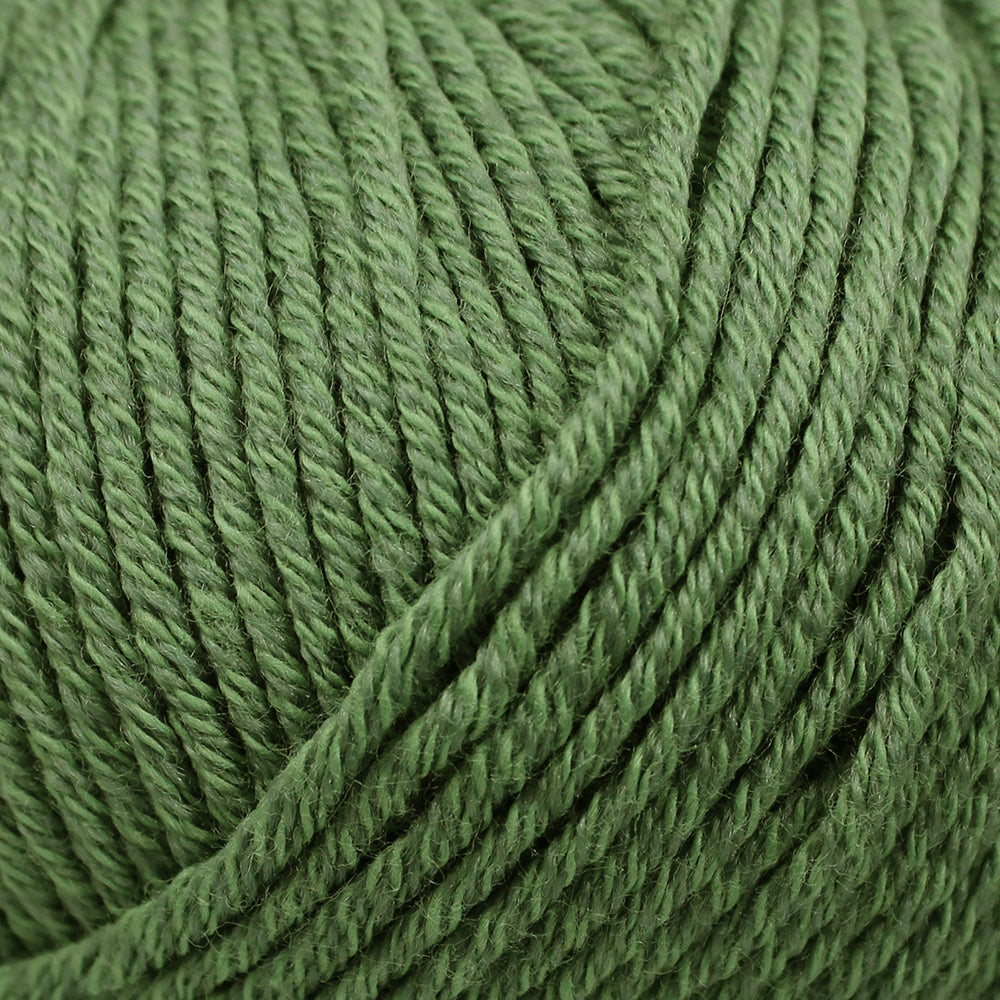 50515_grass
