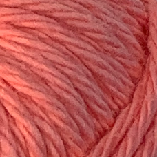 6236_coral