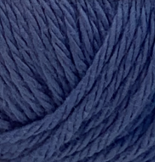 6249_cornflower